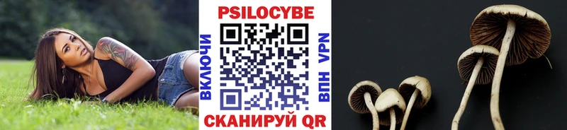 Галлюциногенные грибы Cubensis  МЕГА онион  Усть-Джегута  наркошоп 